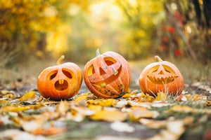 Three Jack-O-Lanterns on Halloween